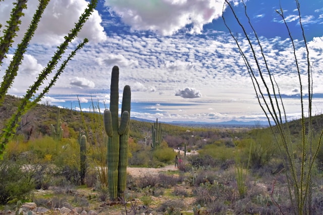 Rental Regulations in Tempe, AZ