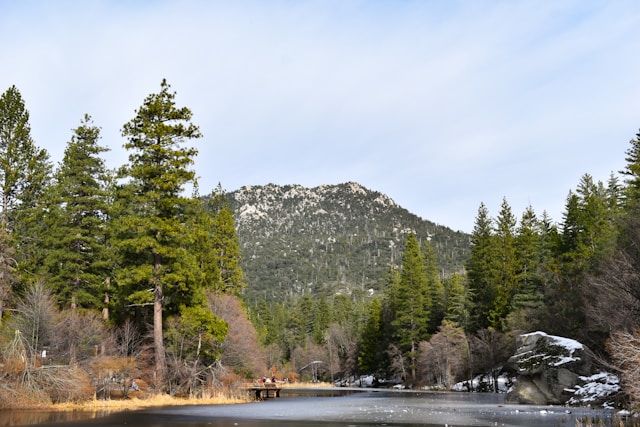Rental Regulations in Lake Arrowhead, CA