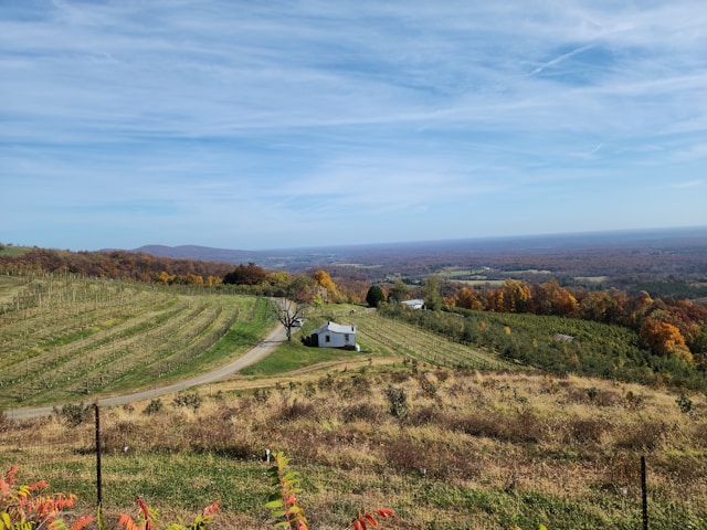 Rental Regulations in Charlottesville, VA