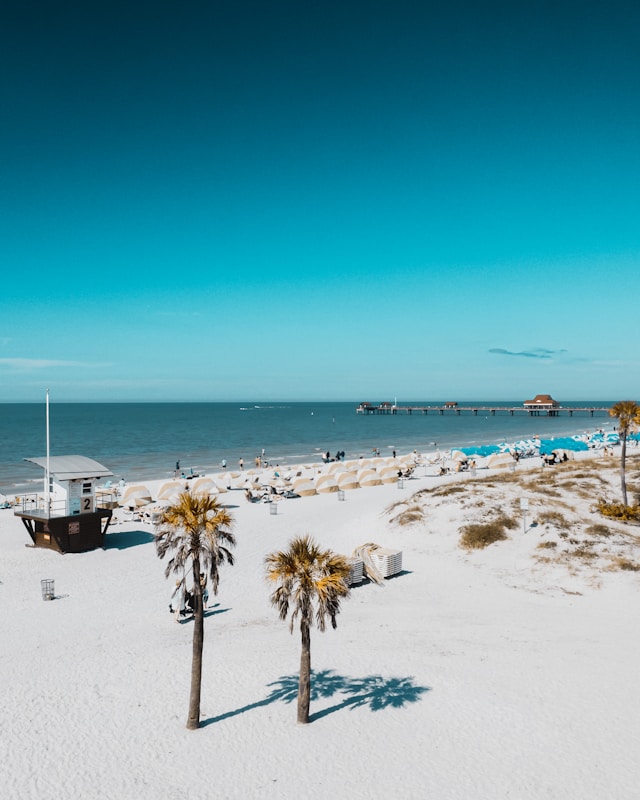Rental Regulations in Tampa, FL