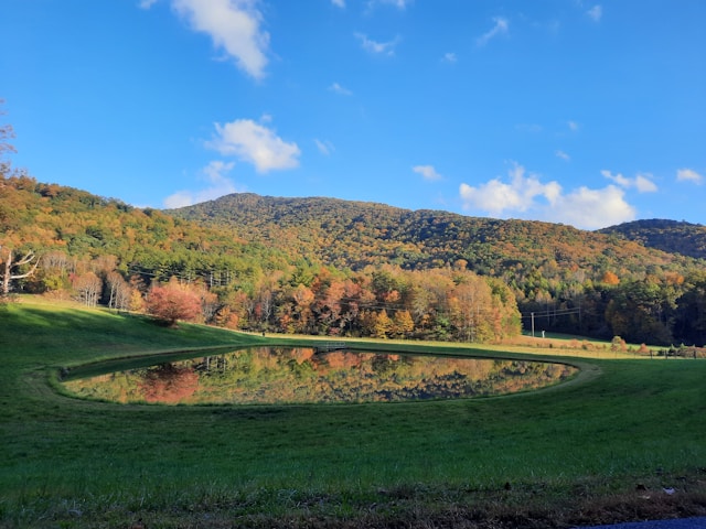 Rental Regulations in Blue Ridge, GA