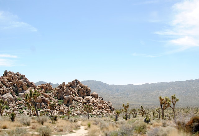 Airbnb Data on 1,104 Active Vacation Rentals in Yucca Valley